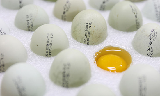 共享经济模式：其实更多是个资本击鼓传花的游戏